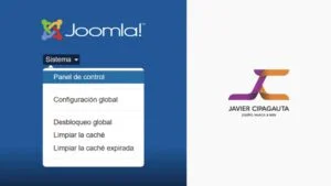 Sistema Joomla!, Panel de administración.