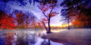 ¿Qué es un pixel y un megapixel?